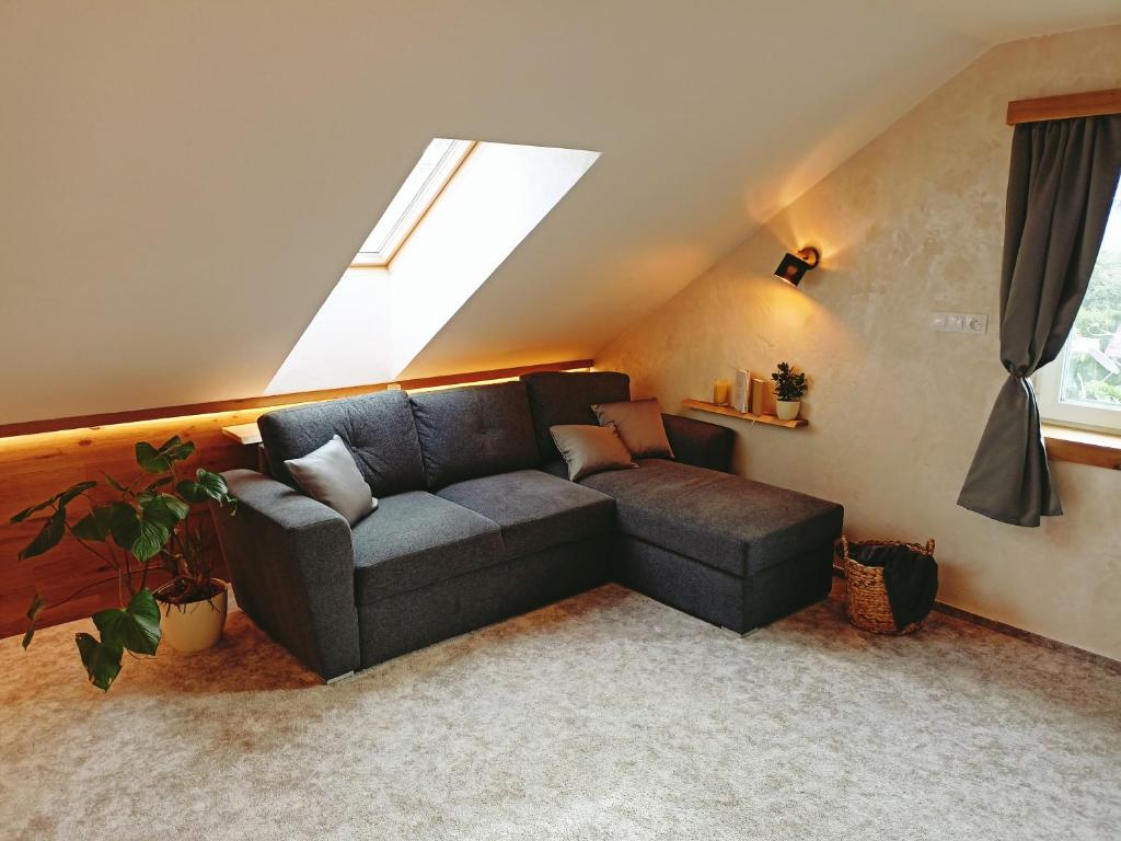 Apartmán u Ovečků - Nová Paka room 5